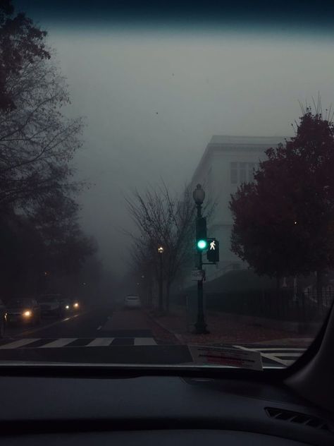 Fog in dc ascetic photo Fall Fog Aesthetic, November Athestic, Spooky Cute Aesthetic, October Halloween Aesthetic, Late Fall Aesthetic, Halloween Esthetics, Grunge Autumn Aesthetic, Fall Dark Aesthetic, Moody Fall Aesthetic