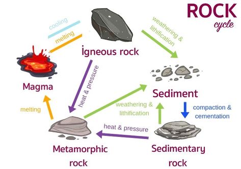 Rock Cycle Worksheet, Rock Cycle Project, Middle School Ideas, Middle School Worksheets, Rock Cycle Activity, Different Types Of Rocks, Basic Geography, Earth Science Lessons, Science Classroom Decorations