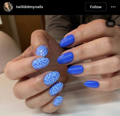 Blue And Blue Nails, Seasonal Nail Ideas, Cute Nails Design Ideas, Blue Cheetah Nails, Cute Nails Blue, Color Nails Ideas, Fun Blue Nails, Spring Colors For Nails, Colors For Nails