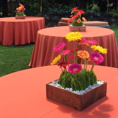 Our Photo Gallery | Fiori Floral Design Mops Centerpieces, Planter Boxes Flowers, Beat Bugs, Grass Centerpiece, Marble Border, Event Decor Ideas, Party Decorations Table, Garden Centerpiece, Daisy Garden