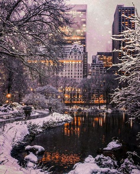 The Plaza Hotel on Instagram: "Let us light the way to New York's most elegant New Year's Eve soiree. Give 2023 a monumental welcome by attending our timeless celebration at The Palm Court. Preview the menu at our link in bio and reserve while tickets last. #LiveLikeThePlaza [📷: @_le_vent_dans_la_plaine]" New York Noel, Winter In New York, Lake George Village, City Christmas, Nyc Christmas, Central Park Nyc, New York Photos, Winter Scenery, Lake George