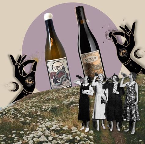 Wine Collage Art, Beer Collage, Wine Collage, Surreal Collage Art, Wine Logo, Graphic Design Tutorials Learning, Wine Poster, Surreal Collage, Magazine Collage