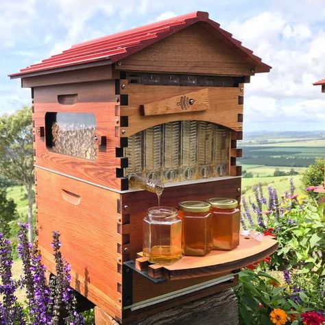 Flow Hive Classic Cedar 6 Frame – Character Grade Flow Hive, Bee Hive Plans, Backyard Bee, Bee Friendly Garden, Backyard Beekeeping, Honey Bee Hives, Future Farms, Bee Farm, Bee Keeper