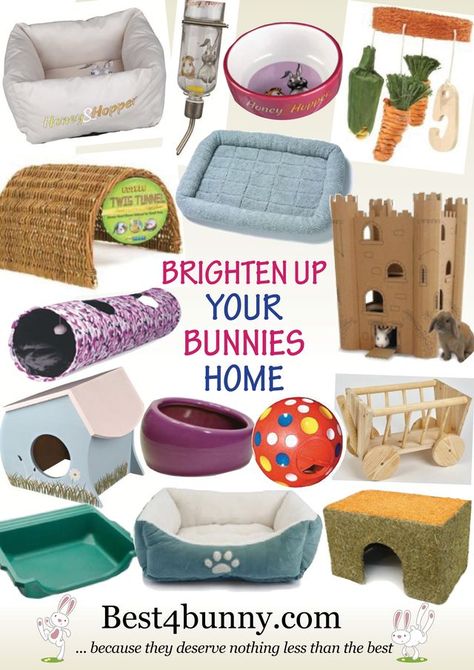 Dog Supply Storage, Bunny Supplies, Guinea Pig Breeding, Pet Rabbit Care, Bunny Hutch, Bunny Lady, Bunny Room, Pet Bunny Rabbits, Indoor Rabbit