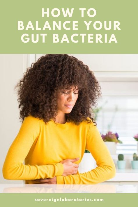 Staphylococci Bacteria Remedies, Enteric Nervous System, Gastrointestinal Disorders, Gut Brain, Health And Wellness Quotes, Probiotic Foods, Gut Microbiota, Nutrient Deficiency, Healthy Bacteria