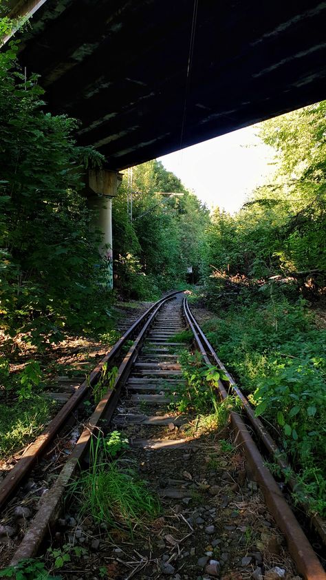 Apocalypse Landscape, Dystopian Aesthetic, Abandoned Place, Abandoned City, Apocalypse Aesthetic, Abandoned Train, Cursed Child, Train Tracks, Abandoned Buildings