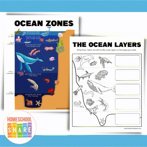 Ocean Zones Worksheets (free!) - Homeschool Share Ocean Zones Printable, Ocean Zones Project, Layers Of The Ocean Activities For Kids, Ocean Zones For Kids, Ocean Diagram, Ecosystem Worksheets, Ocean Education, Ocean Layers, Layers Of The Ocean