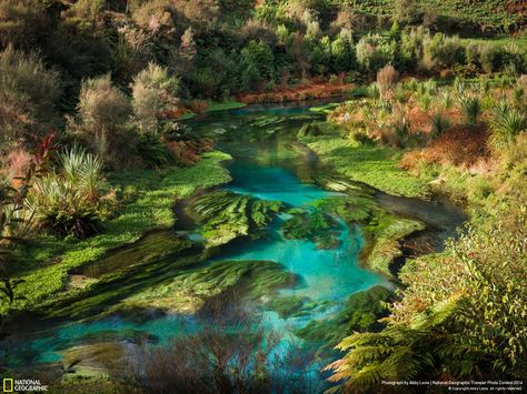 National Geographic Photo Contest, Beautiful Images Nature, National Geographic Photos, Nature Images, Photo Contest, Nature Pictures, National Geographic, Beautiful World, Travel Photos