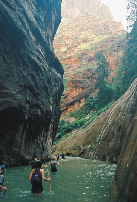 35mm Film Photography Art Print; Zion National Park, UT * Paper thickness: 10.3 mil * Paper weight: 5.6 oz/y² (192 g/m²) * Giclée printing quality * Opacity: 94% Voyagers National Park, National Park Aesthetic, The Narrows Zion National Park, Zion National Park Photography, Zion Park, 35 Mm Film, 35mm Film Photography, The Narrows, Nature Valley