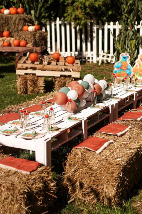 Take a look at this fun Fall pumpkin themed Sesame Street birthday party. The table settings are fantastic! See more party ideas and share yours at CatchMyParty.com Fall Birthday Party Decorations, Pumpkin Patch Birthday Party, Sesame Street Birthday Party Ideas, Pumpkin Patch Kids, Pumpkin Patch Birthday, Pumpkin Patch Party, Fall Pumpkin Patch, Pumpkin Birthday Parties, 2nd Birthday Party For Boys