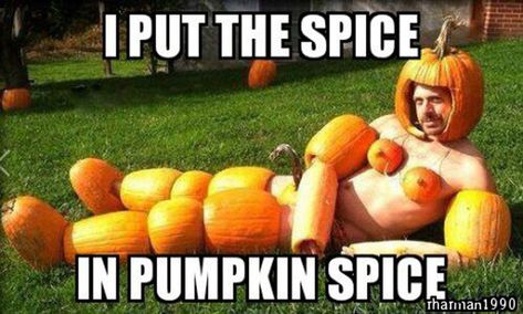 13 of the best pumpkin memes to make your day a little better Pumpkin Meme, Funny Halloween Pictures, Top 10 Halloween Costumes, Funny Halloween Memes, Halloween Meme, Halloween Fest, Halloween Memes, Pumpkin Man, Funny Pumpkins