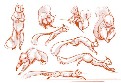 This is not a human, but the sleek posture of the squirrel reminds me of a cat. Could prove useful. Sketches Of Animals, Human Animation, Squirrel Art, Character Design Tutorial, Person Cartoon, Animal Study, Animal Sketches, Drawing Tutorials, Character Design References