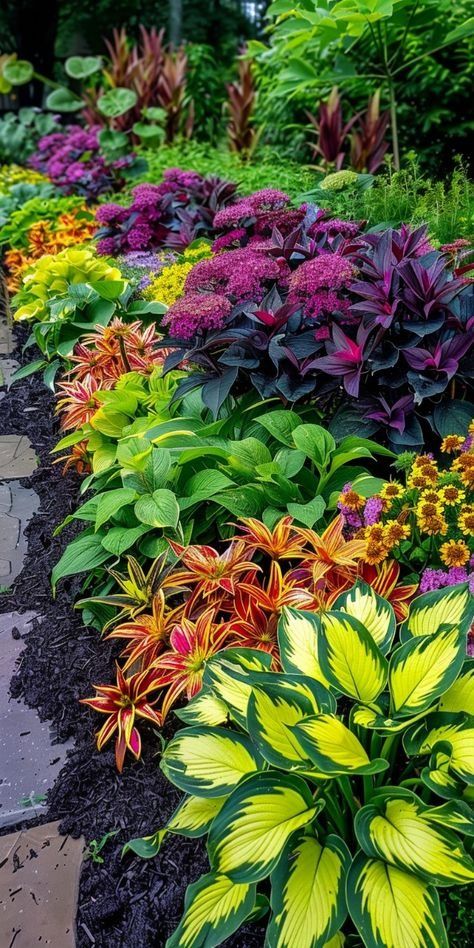 Magical Front Yard, Perennial Flower Beds In Front Of House, Lily Flower Bed Ideas, Hosts Garden Ideas, Annual Garden Ideas, Lily Garden Ideas, Flower Bed Ideas In Front Of House, Flower Bed Layout, Flower Beds In Front Of House