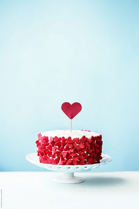 Valentines cake on a blue background by Ruth Black  - Cake, Heart - Stocksy United Birthday Wishes For Women, Cake Background, Valentines Cake, Cake Wallpaper, Mini Cakes Birthday, Cake Photography, Valentine Cake, Baby Birthday Cakes, Cake Images