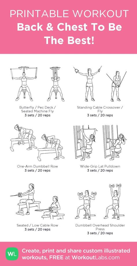 Weight Room Arm Workout, Back Exercise Machines Gym, Chest Back And Abs Workout, Cheat And Back Workout Gym, Chest Workout Women Machine, Back Workout For Beginners Gym, Women’s Chest And Back Workout, Cheat And Back Workout, Free Weight Back Exercises