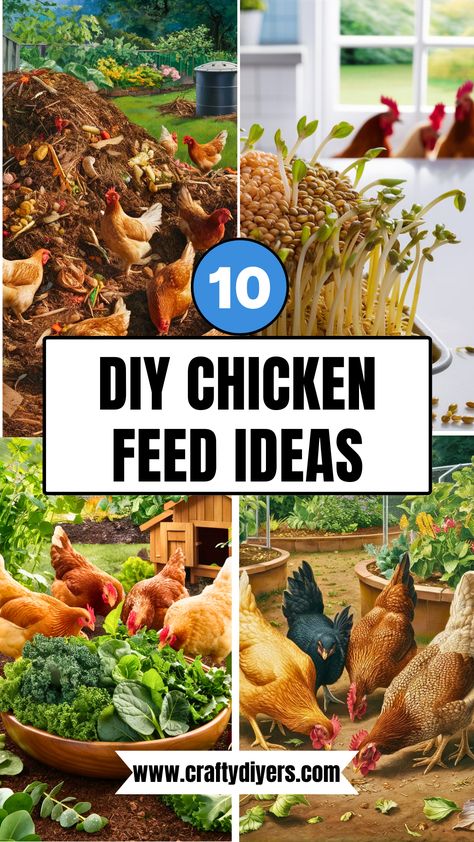 10 DIY Chicken Feed [Easy To Make] Fermented Grains, Natural Chicken Feed, Chicken Feed Diy, Homemade Chicken Feed, Kitchen Scraps, Sprouted Grains, Egg Production, Diy Chicken, Diy Baby Shower Gifts