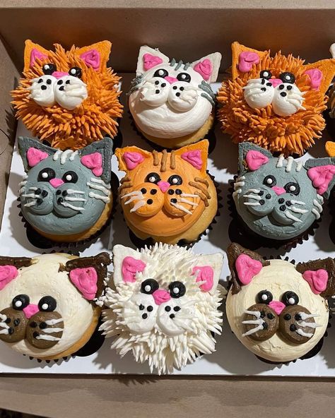 Amazing Cupcakes Designs, Cat Face Cupcakes, Cat Decorated Cupcakes, Kitty Cat Cupcakes Ideas, Cat Pull Apart Cupcake Cake, Kitten Cupcakes For Kids, Cat And Dog Cupcakes, Kitty Cupcakes For Kids, Cat Themed Desserts