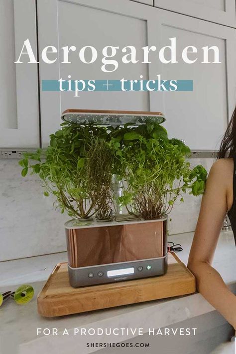 Hydroponic Herbs Indoor, Best Plants To Grow In Aerogarden, Indoor Garden Hydroponics, Aero Garden Tips, Aero Garden Hack, Aero Garden Diy Pods, Aero Garden Ideas, Aerogarden Shelf Ideas, Aerogarden Hack