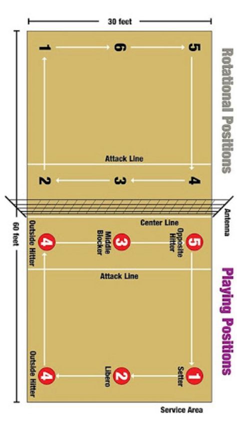 If you do volleyball or if it is new to u this may be helpful which positions and such. Cell Analogy, Volleyball Tryouts, Volleyball Positions, Volleyball Set, Volleyball Skills, Volleyball Practice, Volleyball Clubs, Volleyball Inspiration, Volleyball Tips