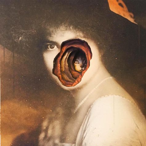 Walking Wounded: The Strange and Disturbing Artwork of Alex Eckman-Lawn - Flashbak Creepy People, Art Cube, Macabre Art, Collage Artwork, Cat Photography, Wow Art, A Level Art, Weird Art, Weird And Wonderful