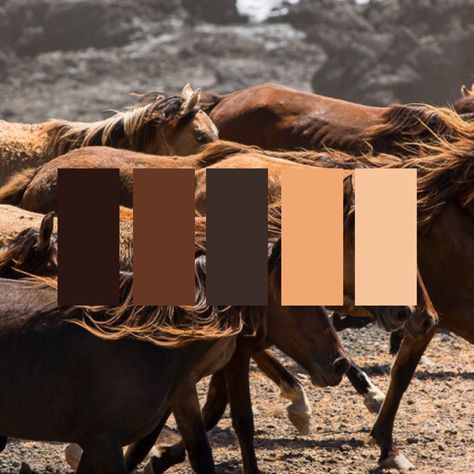 Old West Color Palette, Old Western Color Palette, Western Colour Palette, Western Wall Colors, Wild West Color Palette, Modern Western Aesthetic, Cowboy Color Palette, Horse Color Palette, Western Mood Board