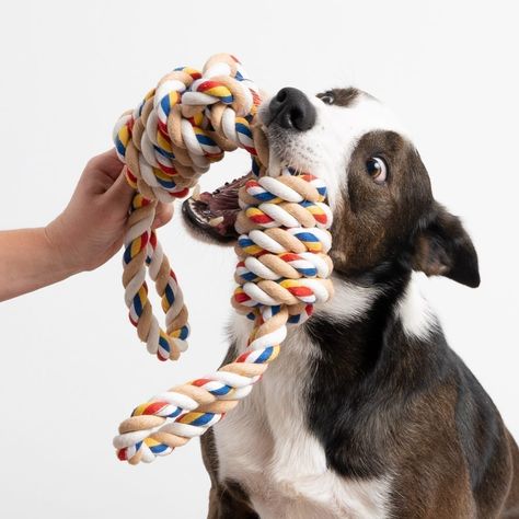 Dog Stocking, Rope Diy, Best Dog Toys, Dog Car Seat Cover, Dog Memorial Gift, Dog Safety, Pet Memorial Gifts, Dachshund Puppy, Shelter Dogs