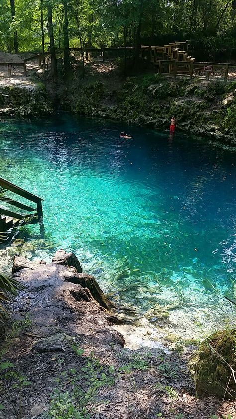 Madison Blue Springs, Florida Blue Springs State Park Florida, Blue Springs State Park, Florida Springs, Springs Florida, Spring Aesthetic, Blue Springs, 2024 Vision, Travel Poster, Blue Water