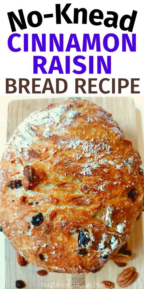 Raised Bread Recipe, Cinnamon Raisin Dutch Oven Bread, Cinnamon No Knead Bread, Dutch Oven Cinnamon Raisin Bread, Cinnamon Raisin Bread Dutch Oven, Durch Oven Bread Recipes, Rustic Bread Recipes, Dutch Oven Bread Quick, Healthy Bread Recipes Homemade