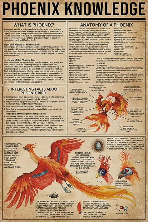 PRICES MAY VARY. PLEASE NOTE – Your Phoenix Poster arrive UNFRAMED: Our prints fit standard frame sizes. Simply find the frame that best suits your style. High quality print, easy to read from across the room. INTERSTING PHOENIX KNOWLEDGE - Phoenix Bird, a legendary bird from ancient Greek folklore which is associated with the Sun. In this nice poster you can know What is Phoenix, 7 intersting facts about Phoenix bird, Anatomy of a Phoenix and how to clarify femal/male Phoenix bird. UNIQUE GIFT Mystical Creatures Mythology, Fantasy Creatures Mythology, Phoenix Painting, Phoenix Drawing, Phoenix Artwork, Knowledge Poster, Sejarah Kuno, Mythical Birds, Phoenix Art