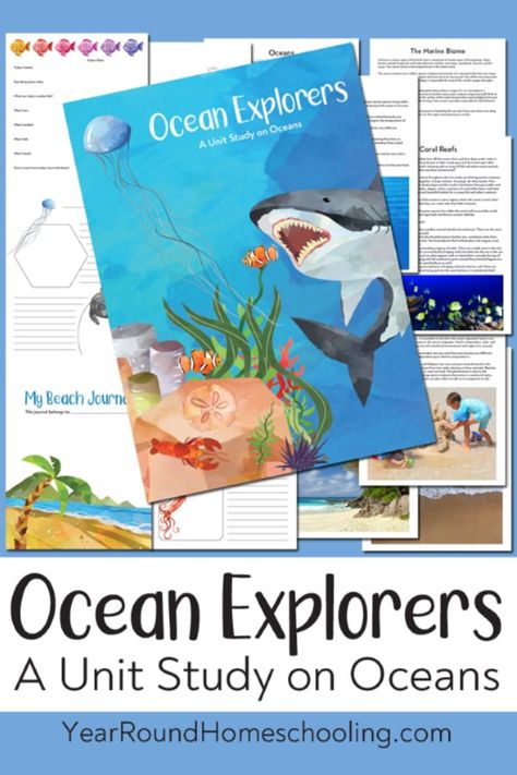 Ocean Explorers: An Ocean Unit Study - Year Round Homeschooling Beach Unit Study, Ocean Unit Study Free Printable, Ocean Anatomy, Ocean Lessons, Ocean Unit Study, Elementary Homeschool, Summer Homeschool, Unit Studies Homeschool, Ocean Unit