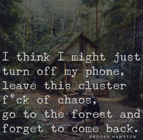 The Woods Quotes, Peaceful Images, Instagram Sounds, Hippie Quotes, Beating Heart, Cabin In The Woods, Adventure Quotes, Word Pictures, Nature Quotes