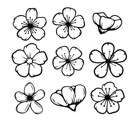 Design For Illustration Board, Cherry Blossom Outline Tattoo, Mazda Drawing, Different Types Of Flowers Drawing, Illustration Board Design Ideas, Cherry Blossom Flower Drawing, Cherry Blossom Doodle, Sakura Flower Illustration, Cherry Blossom Icon