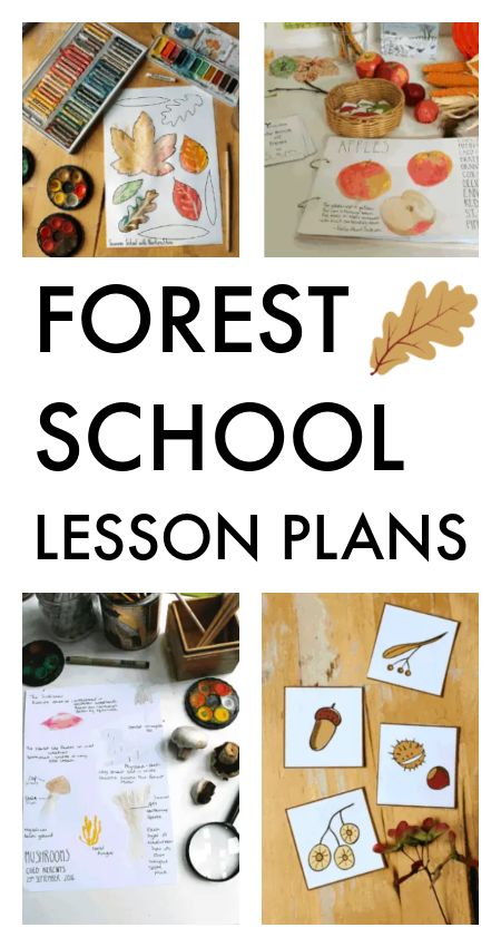 Forest school lesson plans - NurtureStore Forest Learning Activities, Outdoor Elementary Activities, Forest Lesson Plan, Forest Animal Unit Study, Forest School Planning, Homeschool Forest School, Forest School Lesson Plans, Forest School Schedule, Forest Homeschooling