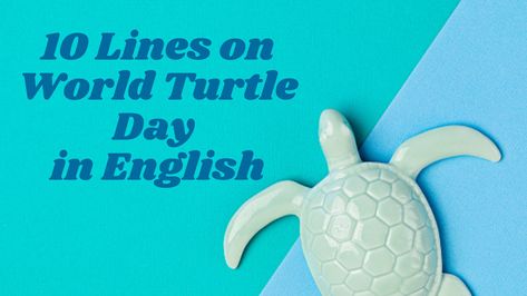 10 Lines on World Turtle Day in English Welcome to Our blog in this post we are sharing some informative 10 lines on World Turtle Day. This will helpful for students in their learning and school homework also. Check out the lines: #worldturtleday World Turtle, World Turtle Day, Turtle Day, School Homework, Ideal Beauty, Mary Kay, Homework, Create Yourself, 10 Things