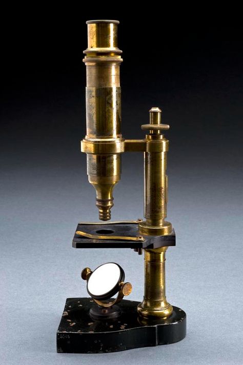 Louis Pasteur’s Compound Microscope | Science Museum Group Collection Compound Microscope, Antique Bucket, Home Science, Scientific Instruments, Louis Pasteur, Famous Scientist, Microscopes, Vintage Medical, History Of Science