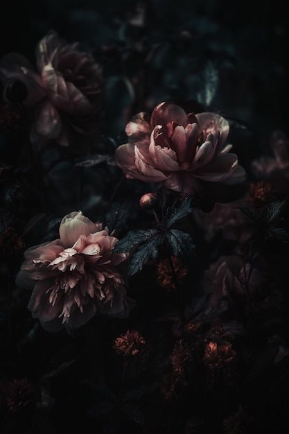 Premium Photo | A dark background with flowers and a dark background Wilted Flowers Aesthetic Dark, Flowers Reference Photo, Dark Flowers Aesthetic, Black Flowers Aesthetic, Flower Aesthetic Dark, Flower Dark Background, Dark Flower Aesthetic, Dark Floral Aesthetic, Flowers Dark Background