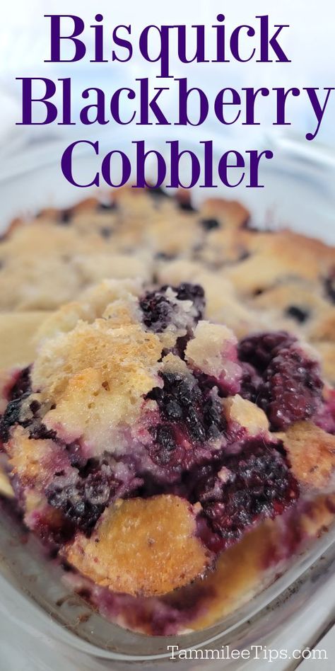 Bisquick Cobbler Recipes, Blackberry Recipes Easy, Bisquick Recipes Dinner, Cobbler With Bisquick, Blackberry Dessert Recipes, Easy Blackberry Cobbler, Easy Holiday Dessert, Berry Cobbler Recipes, Blackberry Dessert