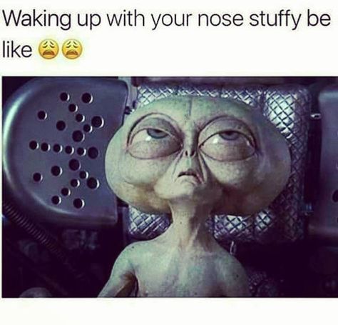 Uggh damn allergies 👽 #moodbelike #wakinguplike #allergies #funny Allergy Memes, Allergies Funny, Wake Up With You, Arthur C Clarke, Terence Mckenna, Alien Life Forms, Men In Black, Come Here, Food Allergies