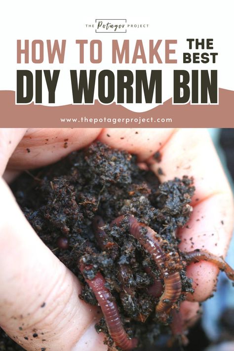 A hand gently holding moist soil containing several earthworms, suggesting the use of organic methods like vermiculture for soil fertility. Vermicomposting Worm Farm, Worm Farm Diy, Worm Tea, Worm Beds, Worm Composting Bin, Worm Farming, Composting 101, Red Wigglers, Compost Bin Diy