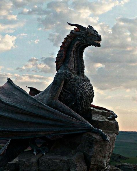 Empire Of Storms Aesthetic, Manon Aesthetic, Fantasy Kingdom Aesthetic, Drogon Game Of Thrones, Empyrean Series, Lakaran Fesyen, Kasut Wanita, Game Of Thrones Dragons, Got Dragons