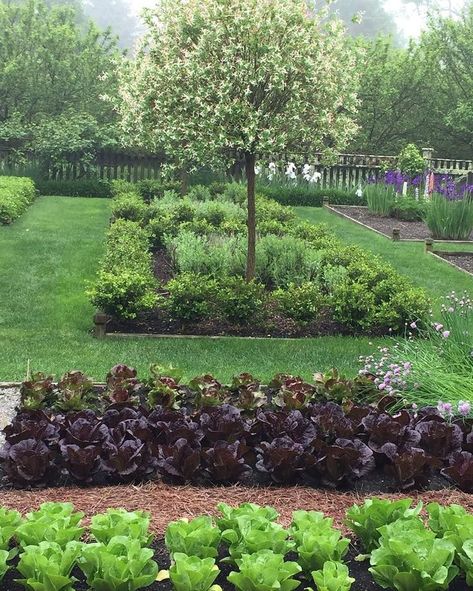 Dec 11, 2017 - Ina Garten's Garden Photos - How to Recreate the Barefoot Contessa's Garden English Garden Design, Vertical Vegetable Garden, Small Vegetable Gardens, Potager Garden, Barefoot Contessa, Contemporary Garden, Home Vegetable Garden, Vegetable Garden Design, Landscaping Tips