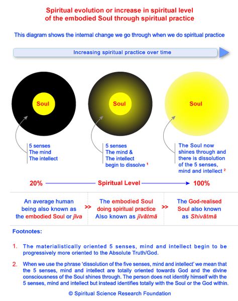 Spiritual evolution through Spiritual practice Importance Of Prayer, Spiritual Science, Pranic Healing, Ancient History Facts, Science Research, Collective Consciousness, Spirit Science, Awakening Quotes, Spiritual Cleansing