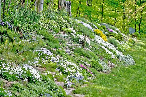 12 Hillside Landscaping Ideas to Maximize Your Yard Garden Hillside, Slope Landscaping, Landscaping A Slope, Landscaping On A Hill, Sloped Yard, Hillside Garden, Sloped Backyard, Hillside Landscaping, Garden On A Hill