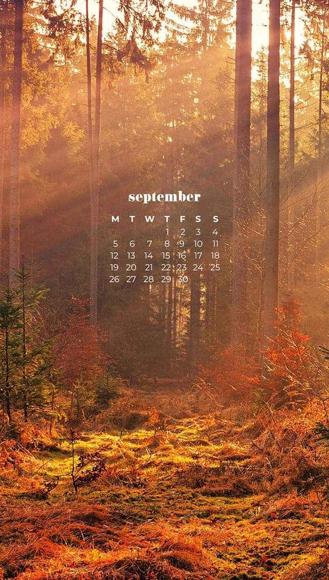 Phone Wallpaper September, September Wallpaper Ipad, September Ipad Wallpaper, September Lockscreen, September Wallpaper Iphone, September Calendar 2022, September Phone Wallpaper, September Calendar Wallpaper, Calendar September 2022