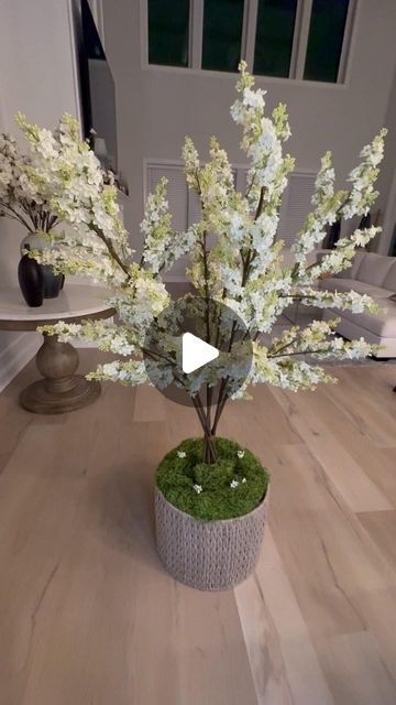 Tiana Adams | Home Decor | Lifestyle on Instagram: "Look at this faux tree I made, DIY at its finest.  I too some 5 foot tall faux steams from my favorite store TJMaxx and arranged them in this basket my mom found at the Goodwill! Added in some Spanish moss and voila!

.
.
.
.
.

#diyflowers 
#Homedecor
#Newhome
#fauxplants 
#Dreamhome 
#floralarrangement 
#DIY
#floralart 
#art
#floralinspiration 
#floralinstallation 
#floral 
#HomeDecor
#greenery 
#Interiordesign #homehack #homehacks #gardenhacks #gardenhack" Random Decor, Diy Tree, Faux Floral Arrangement, Faux Tree, House Decorations, Spanish Moss, Bouquet Arrangements, Artificial Tree, Decor Home Living Room