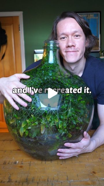 Ben Newell on Instagram: "I recreated the most famous terrarium in the world 🌎

I also wrote a book and if you want to learn how to make terrariums then you can preorder it right now ⬆️

#terrarium" Terrarium Science Project, Ikea Cabinet Terrarium, Diy Closed Terrarium, How To Make A Terrarium, Closed Terrarium Ideas Diy, Closed Terrarium Ideas, Terrarium Aesthetic, Glass Terrarium Ideas, Terrarium Layers