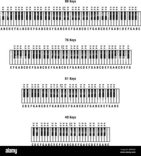 Download this stock vector: Piano keyboards in standard 88 key, 76 key, 61 key and 49 key layouts, with labels, isolated vector illustration - 2BPBC8D from Alamy's library of millions of high resolution stock photos, illustrations and vectors. 36 Key Keyboard Notes, Piano Labels Keys, Printable Piano Keyboard, 61 Key Keyboard Notes, Key Signature Chart, Keyboard Piano Notes Songs, Piano Keys Labeled, Yamaha Piano Keyboard, Piano With Letters