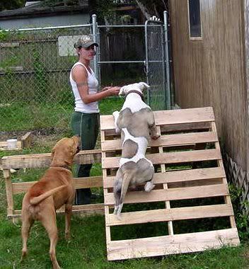 Image result for diy agility course for dogs Dog Agility Diy, Dog Agility Course Diy, Dog Backyard, Dog Clicker Training, Dog Agility Course, Agility Training For Dogs, Dog Yard, Dog Playground, Dog Enrichment