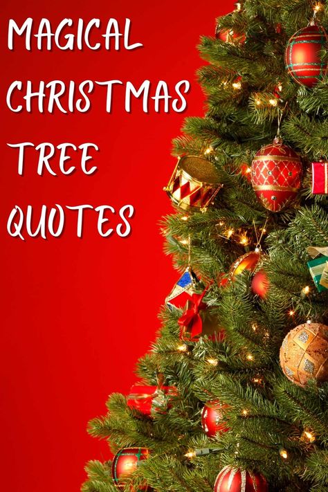 91 Christmas Tree Quotes That Are Festively Short - Darling Quote Lessons From A Christmas Tree, Quotes About Christmas Magic, Christmas Ornament Quotes, Christmas Tree Sayings And Quotes, Christmas Tree Quotes Instagram, Early Christmas Quotes, Christmas Tree Sayings, Christmas Tree Poem, Christmas Quotes For Kids