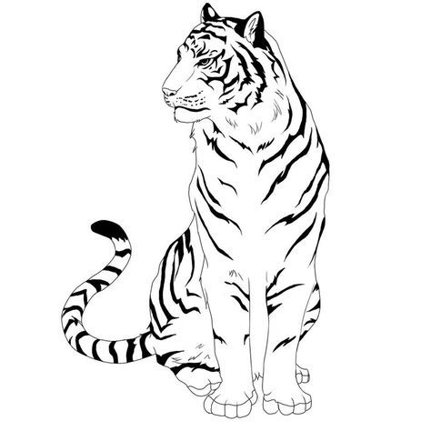 3021 views Tiger Clipart, Big Cat Tattoo, Chinese Illustration, Tiger Drawing, Pencil Drawings Of Animals, Tiger Art, Tableau Art, Tiger Tattoo, Animal Sketches